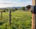 Aparat gard electric montat lângă un gard electric pentru protecția animalelor și a terenului