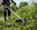 Motocoasă echipată cu disc cu 6 dinți pliabili pentru iarbă deasă și vegetație rezistentă