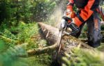 STIHL MS 462 50cm 1.6mm 3/8" 36 RS Rollomatic - imagine 3