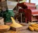 Moară de porumb și batoză alături, într-un context agricol realist